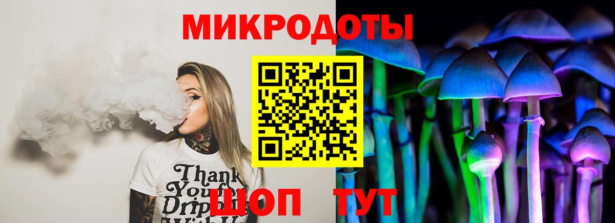 Псилоцибиновые грибы Psilocybe Ликино-Дулёво